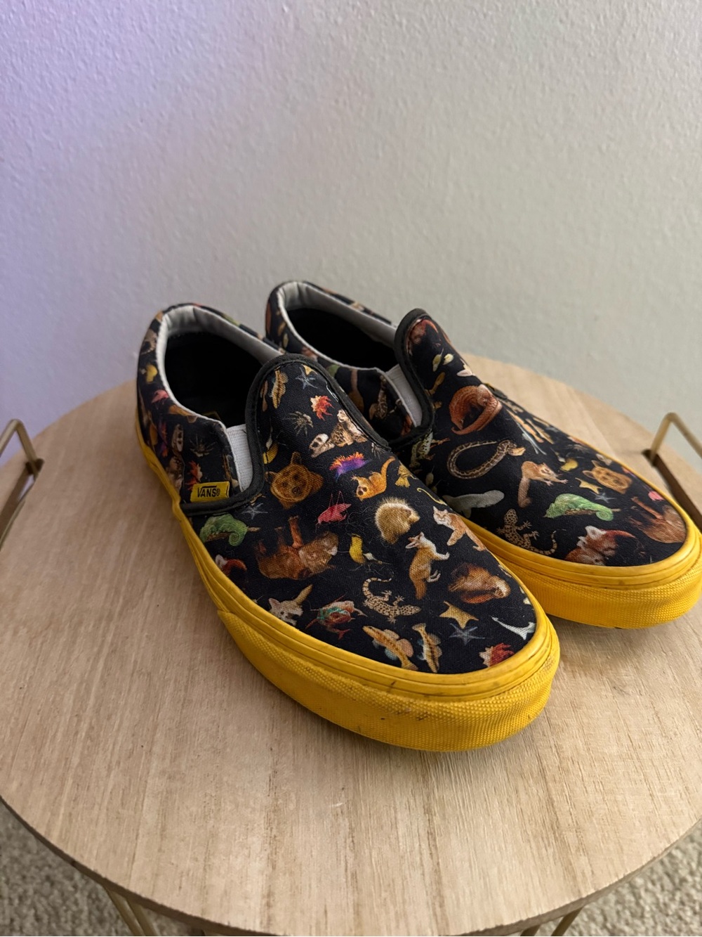 Vans National Geographic Slip Ons